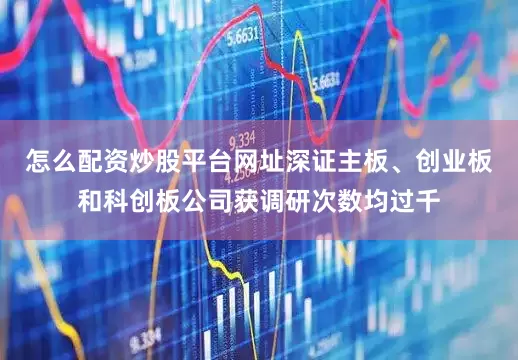 怎么配资炒股平台网址深证主板、创业板和科创板公司获调研次数均过千
