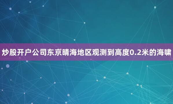 炒股开户公司东京晴海地区观测到高度0.2米的海啸