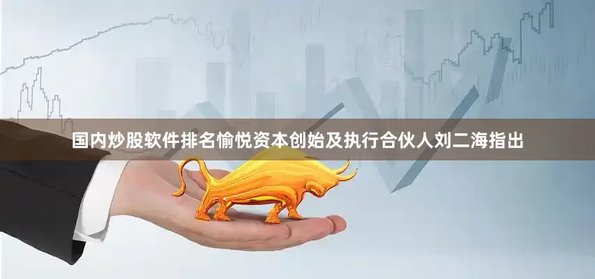 国内炒股软件排名愉悦资本创始及执行合伙人刘二海指出